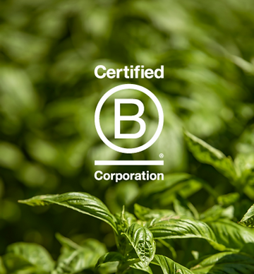 Blue Apple Beach B Corp Empresa B Colombia.png